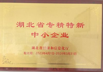 Hubei Province specializes in precision and uniqueness